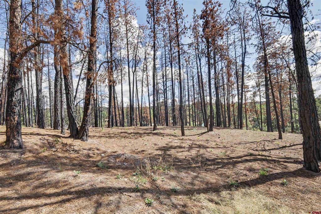 226 Windmill Place Pagosa Springs CO 81147