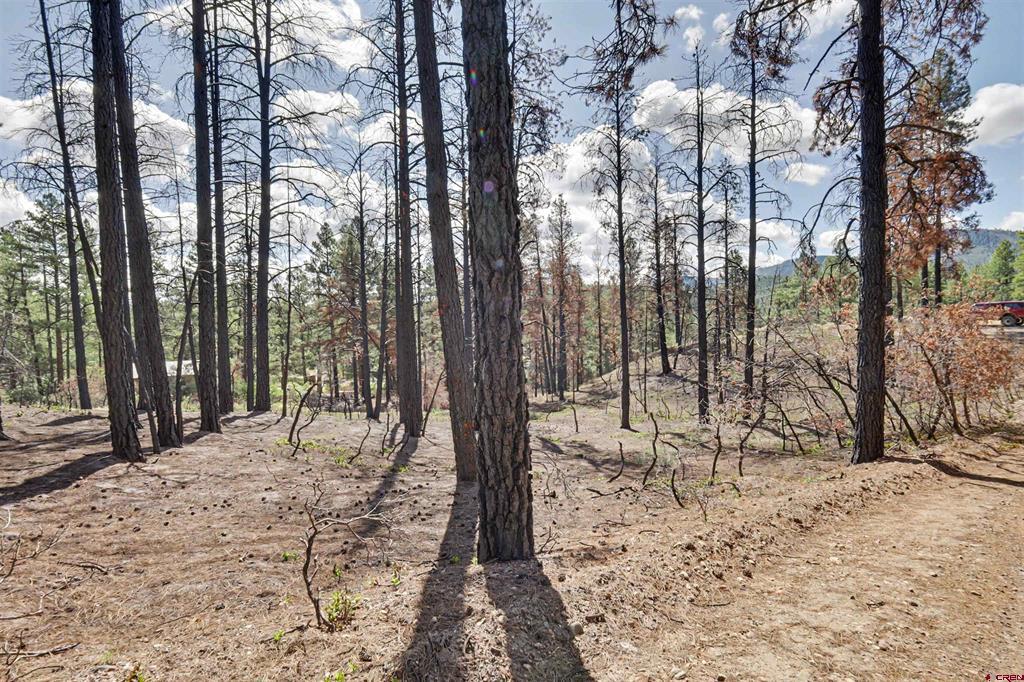 226 Windmill Place Pagosa Springs CO 81147