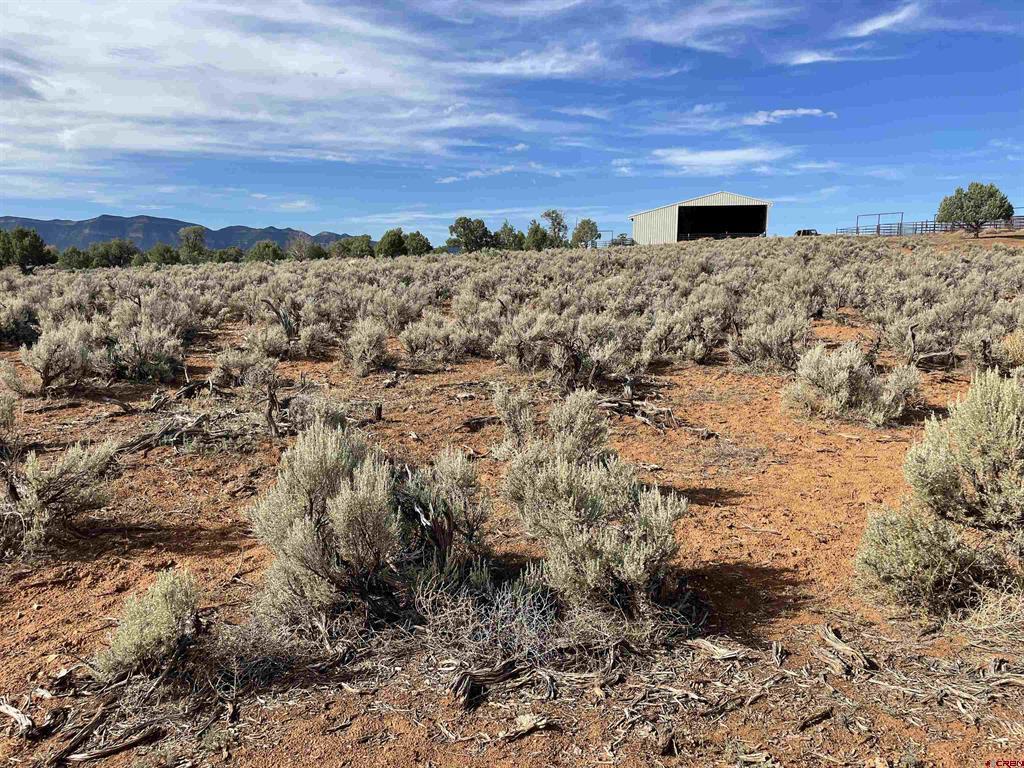 Tract 7 Road K.3 Cortez CO 81321