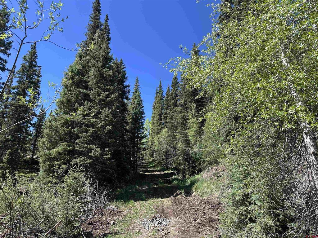 Belle Conklin Highway 550 Silverton CO 81433