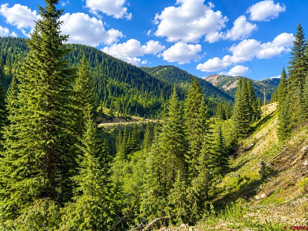 4900 County Road 110 Silverton CO 81433