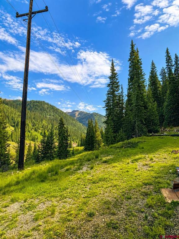4900 County Road 110 Silverton CO 81433