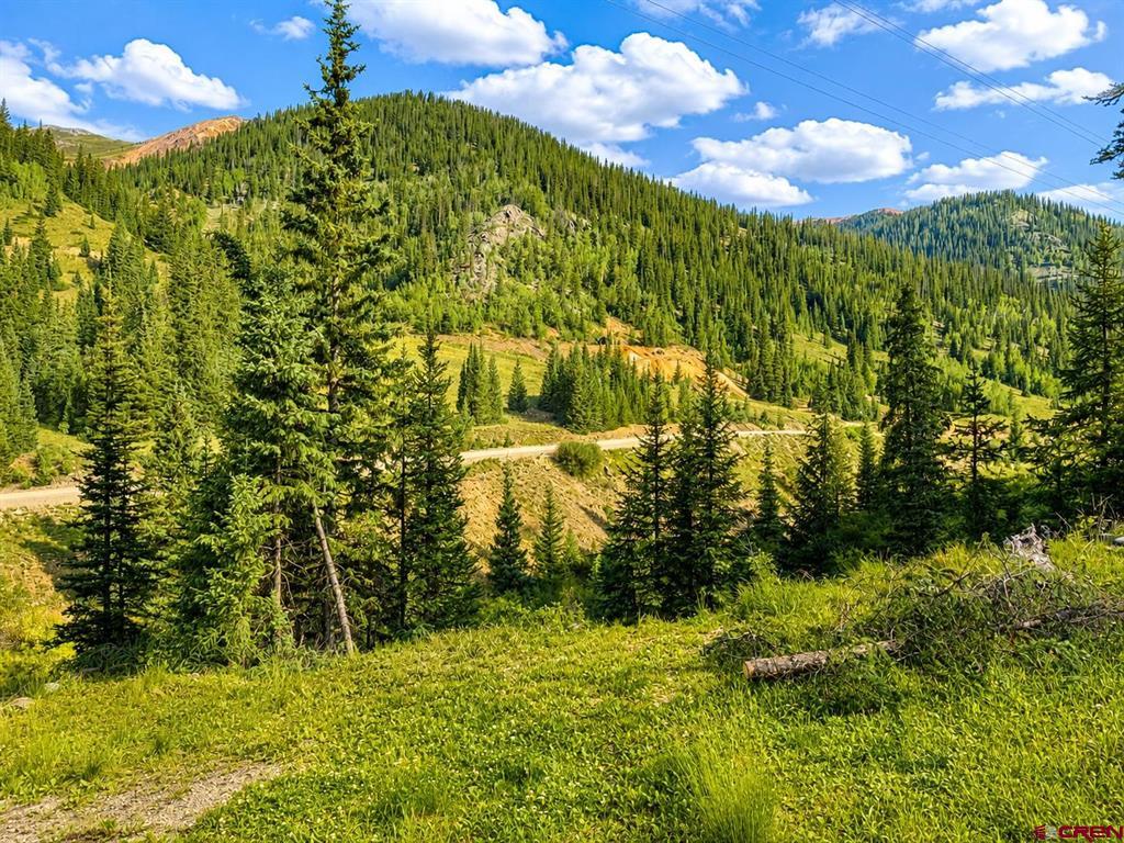 4900 County Road 110 Silverton CO 81433