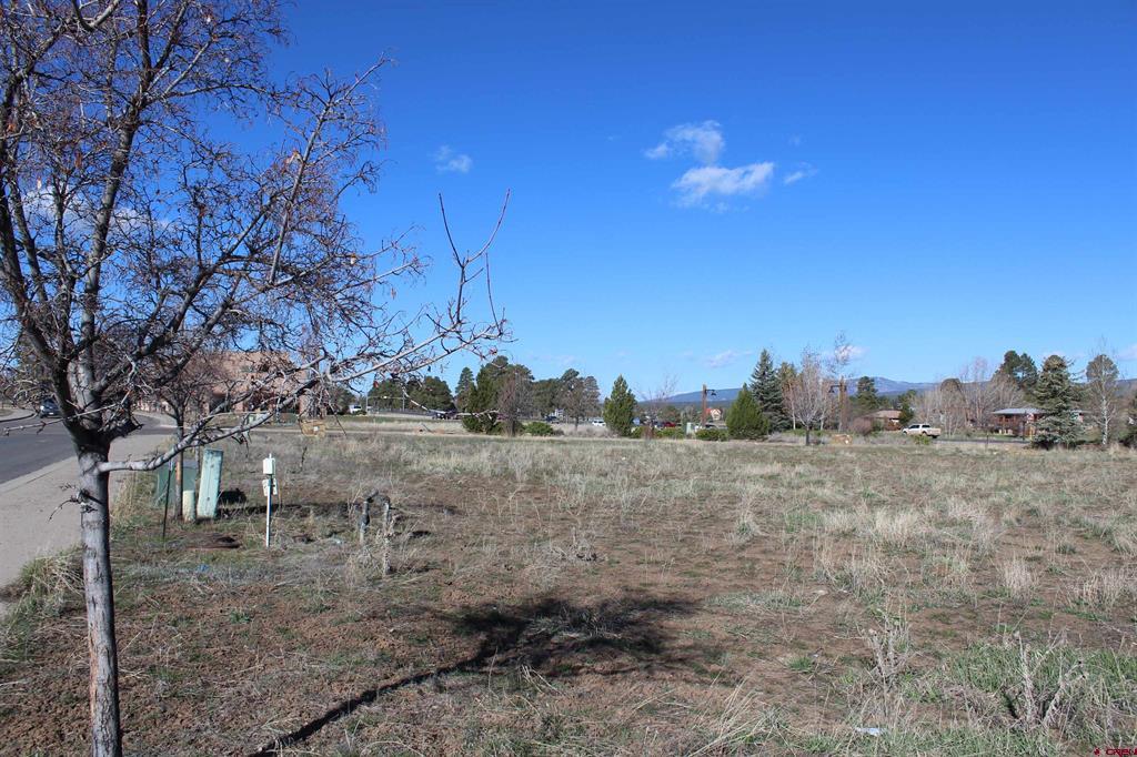 X Cornerstone Drive Pagosa Springs CO 81147