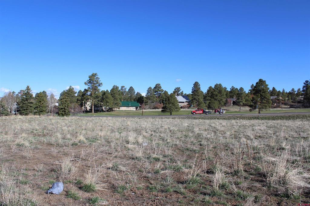 X Cornerstone Drive Pagosa Springs CO 81147