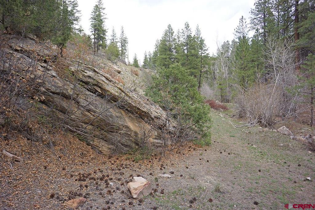 3 Tbd Road 36.5 Mancos CO 81328