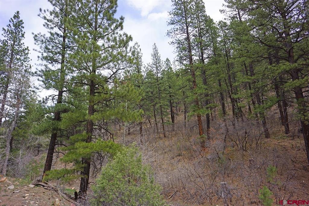 3 Tbd Road 36.5 Mancos CO 81328