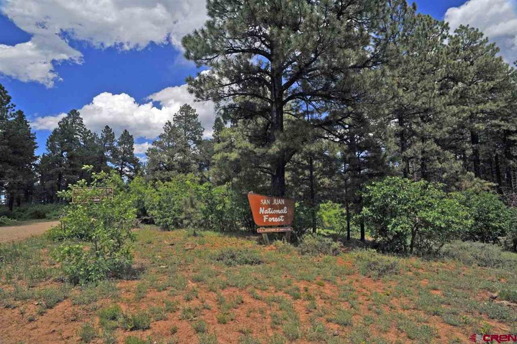 3 Tbd Road 36.5 Mancos CO 81328