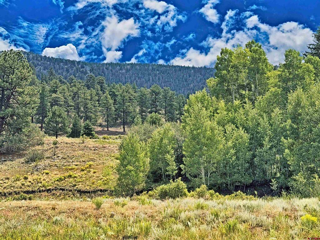 220 Escondida Drive South Fork CO 81154