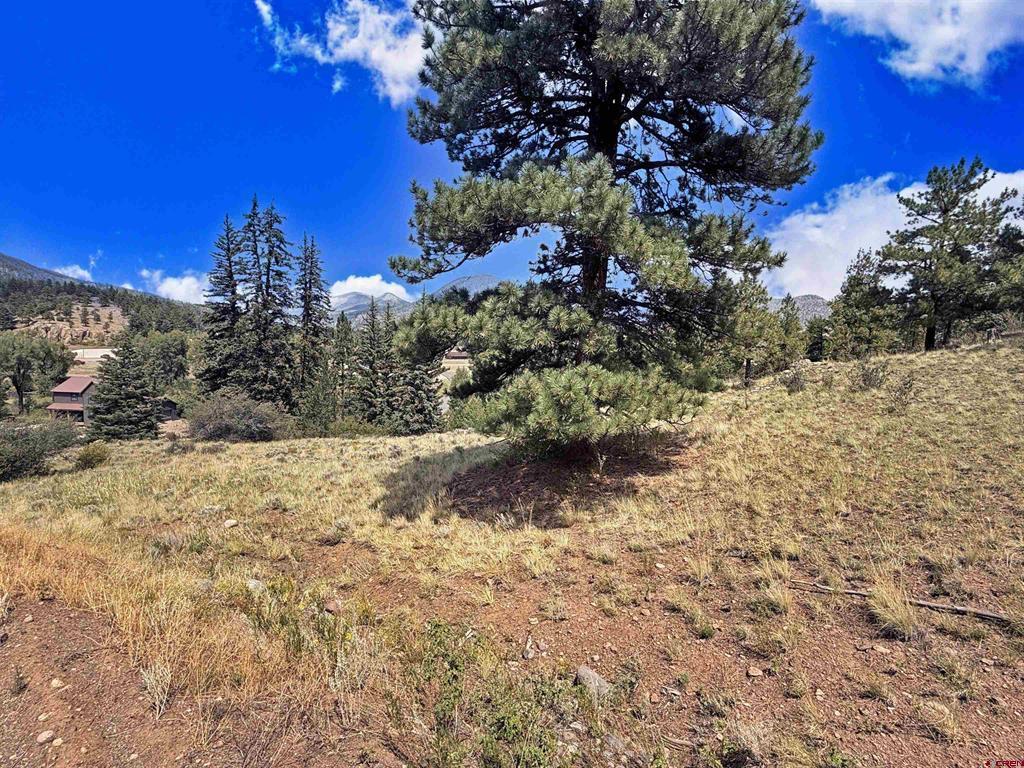 220 Escondida Drive South Fork CO 81154
