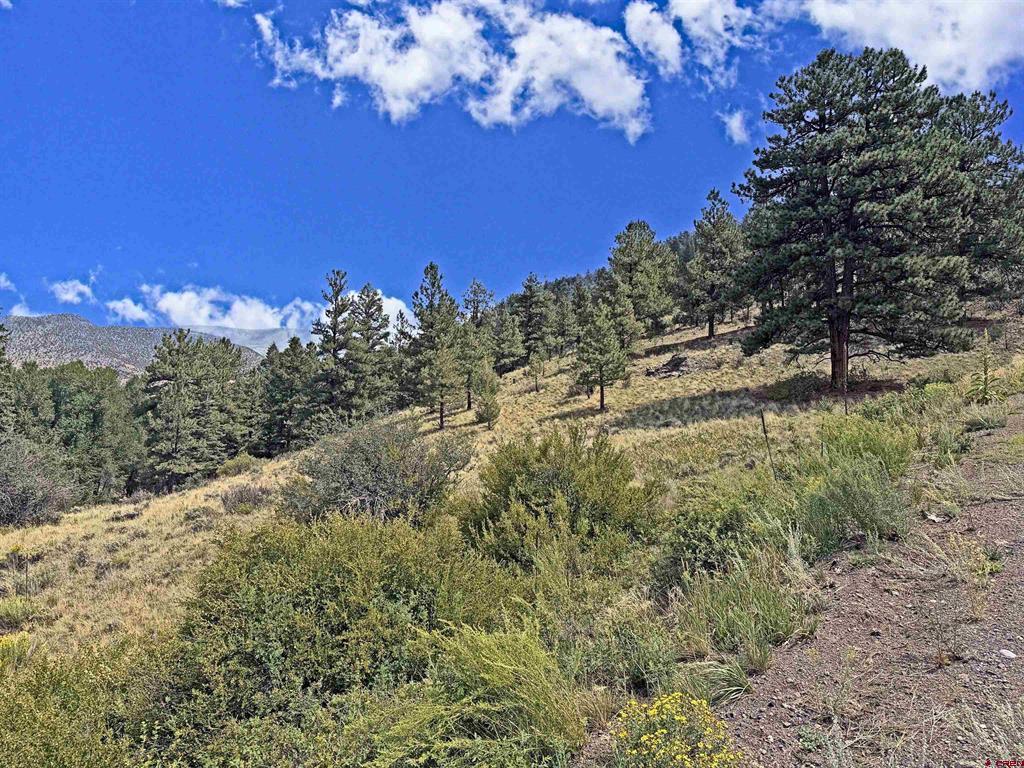 220 Escondida Drive South Fork CO 81154