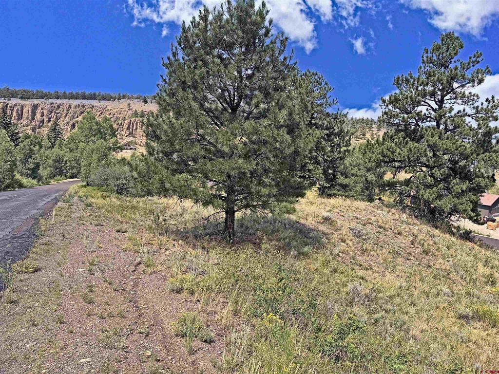 220 Escondida Drive South Fork CO 81154