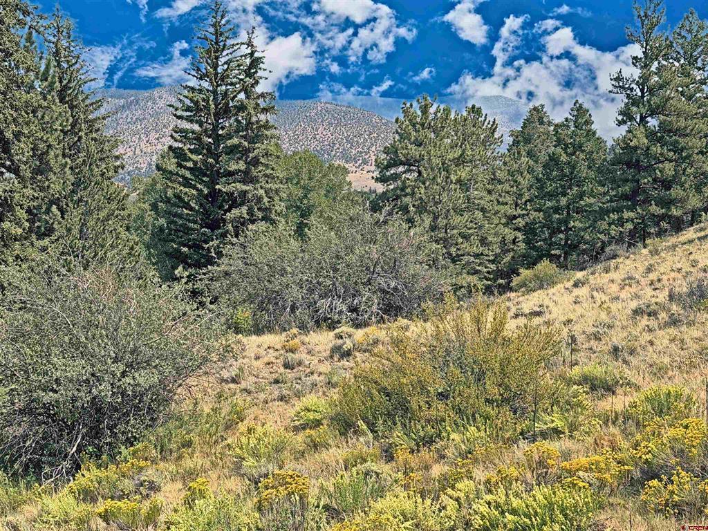 220 Escondida Drive South Fork CO 81154