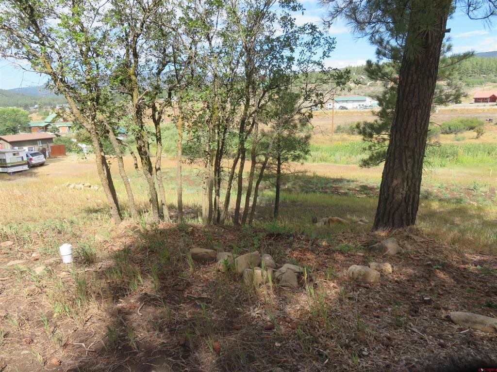 397 River Run Drive Pagosa Springs CO 81147