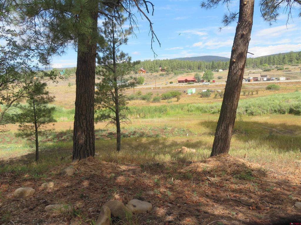 397 River Run Drive Pagosa Springs CO 81147