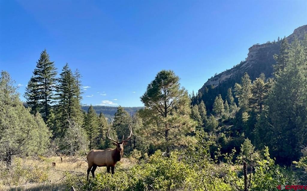 16400 County Road 500 Pagosa Springs CO 81147