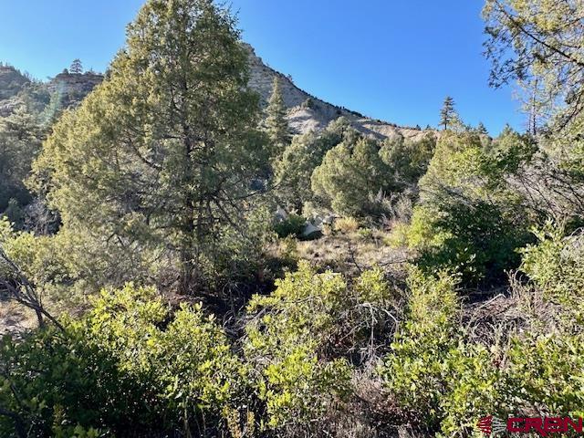 16400 County Road 500 Pagosa Springs CO 81147