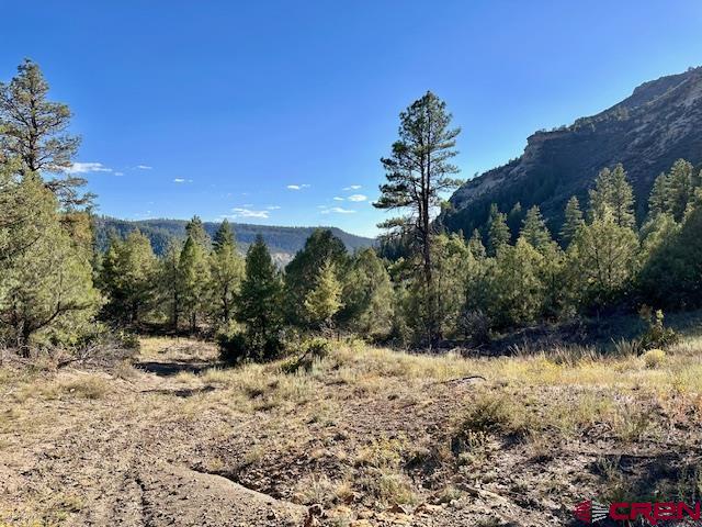 16400 County Road 500 Pagosa Springs CO 81147