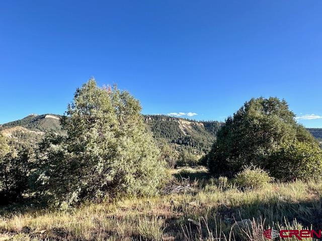 16400 County Road 500 Pagosa Springs CO 81147