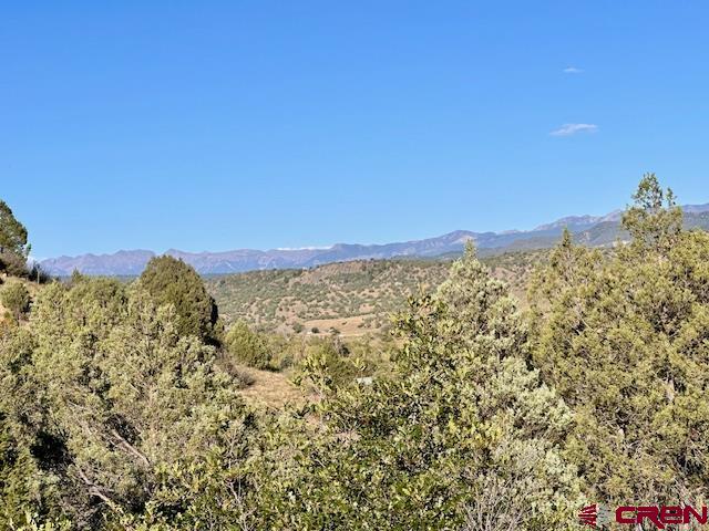 16400 County Road 500 Pagosa Springs CO 81147