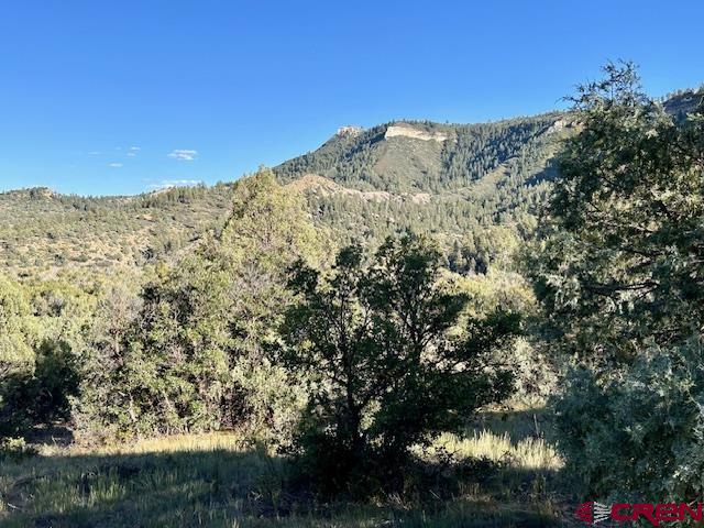 16400 County Road 500 Pagosa Springs CO 81147