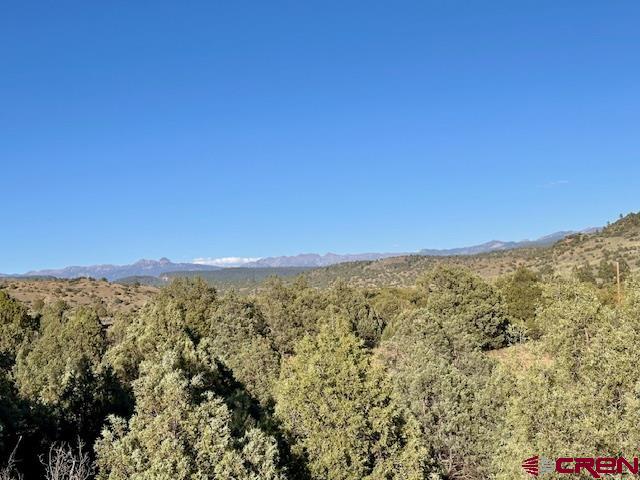 16400 County Road 500 Pagosa Springs CO 81147