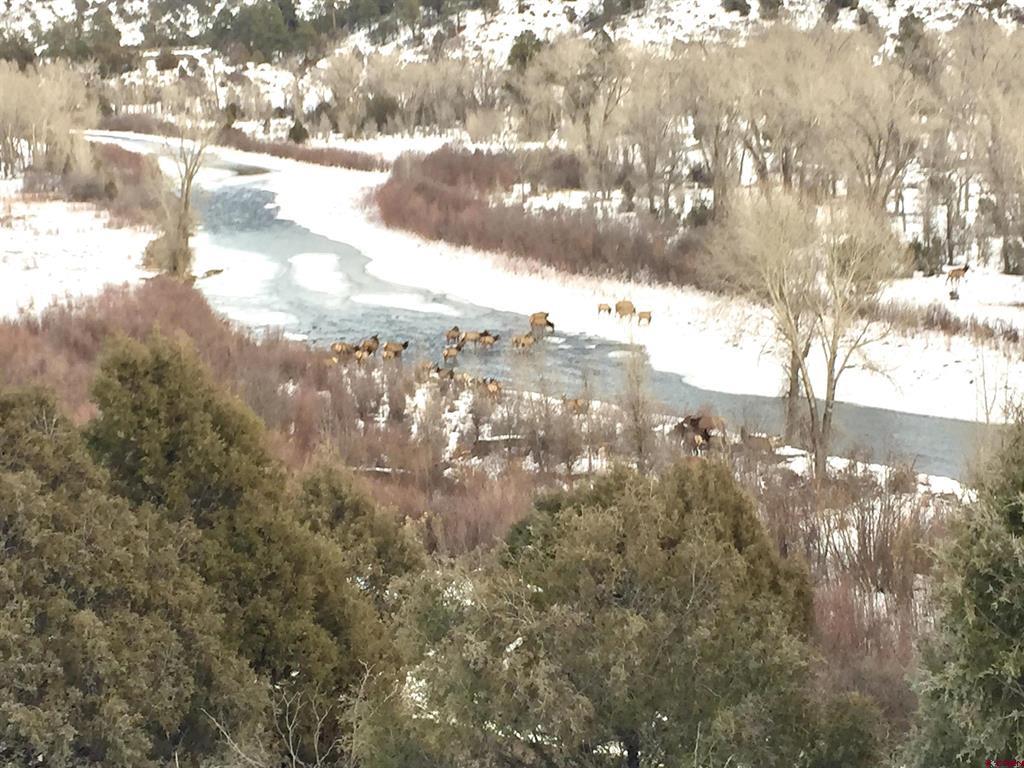 16400 County Road 500 Pagosa Springs CO 81147