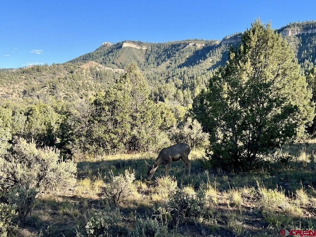 16400 County Road 500 Pagosa Springs CO 81147