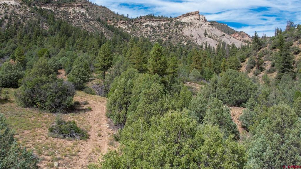 16400 County Road 500 Pagosa Springs CO 81147