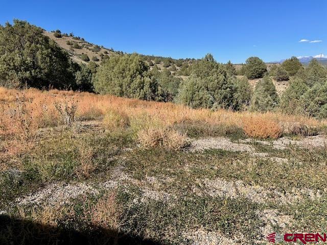16400 County Road 500 Pagosa Springs CO 81147