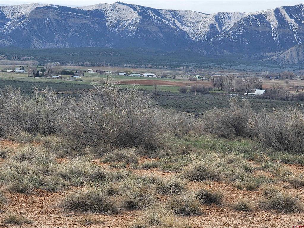 Tbd Jennings Drive Cortez CO 81321
