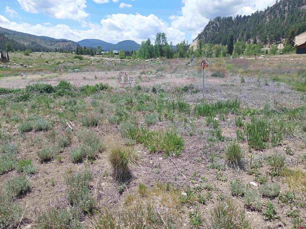 158 Hidden Springs Circle South Fork CO 81154