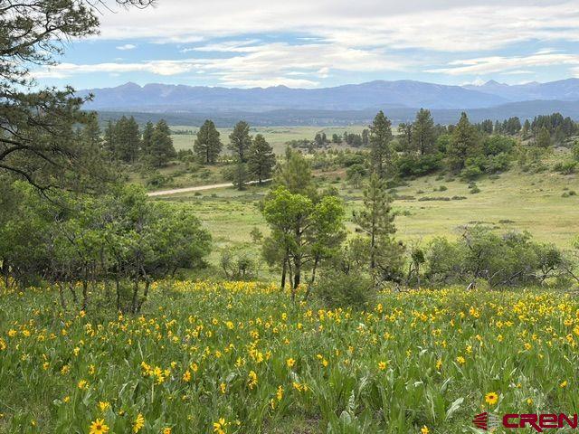 1073 Jacobson Circle Pagosa Springs CO 81147