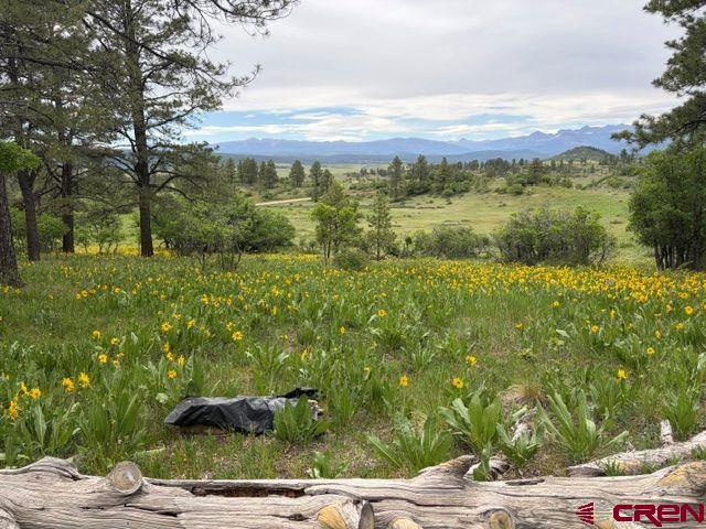 1073 Jacobson Circle Pagosa Springs CO 81147