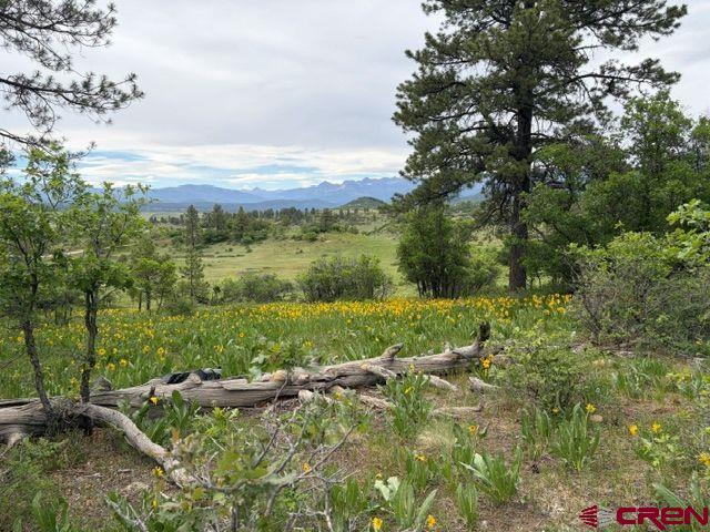 1073 Jacobson Circle Pagosa Springs CO 81147