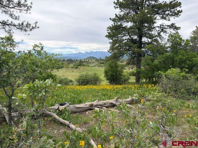 1073 Jacobson Circle Pagosa Springs CO 81147