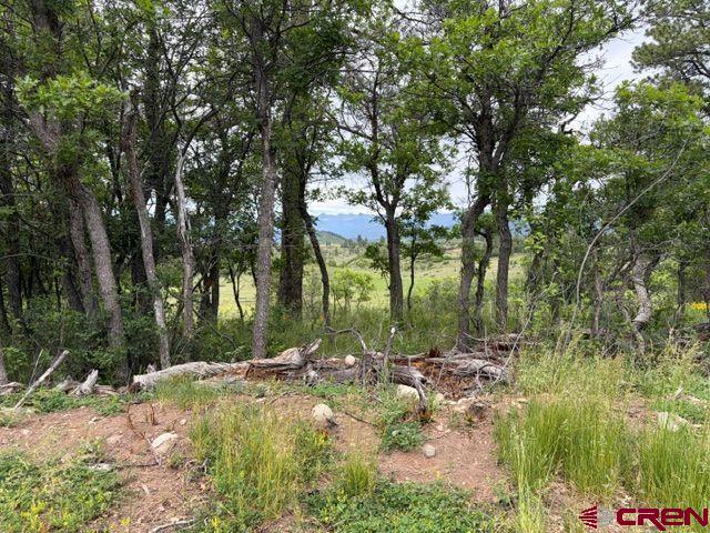 1073 Jacobson Circle Pagosa Springs CO 81147