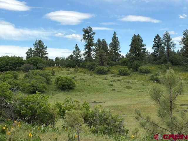 1073 Jacobson Circle Pagosa Springs CO 81147