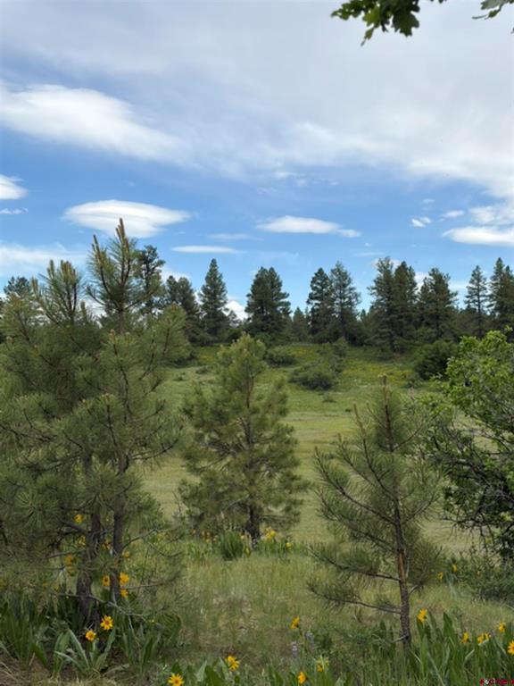 1073 Jacobson Circle Pagosa Springs CO 81147