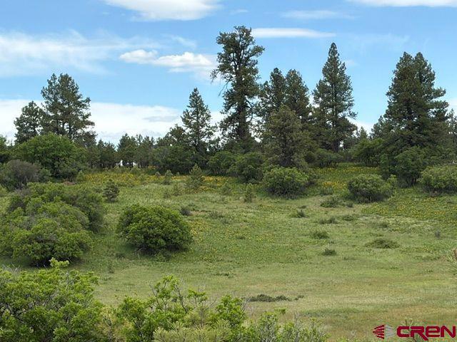 1073 Jacobson Circle Pagosa Springs CO 81147