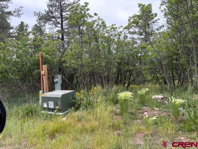 1073 Jacobson Circle Pagosa Springs CO 81147
