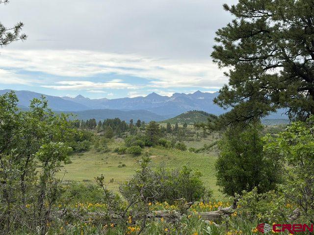 1073 Jacobson Circle Pagosa Springs CO 81147