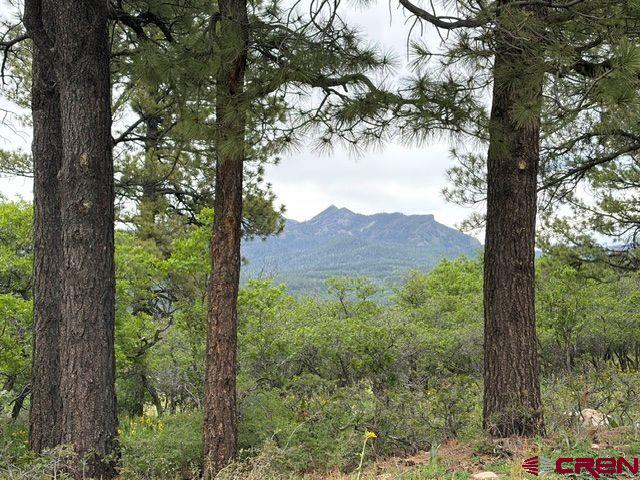 1073 Jacobson Circle Pagosa Springs CO 81147