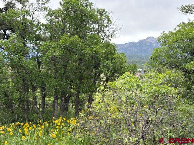 1073 Jacobson Circle Pagosa Springs CO 81147