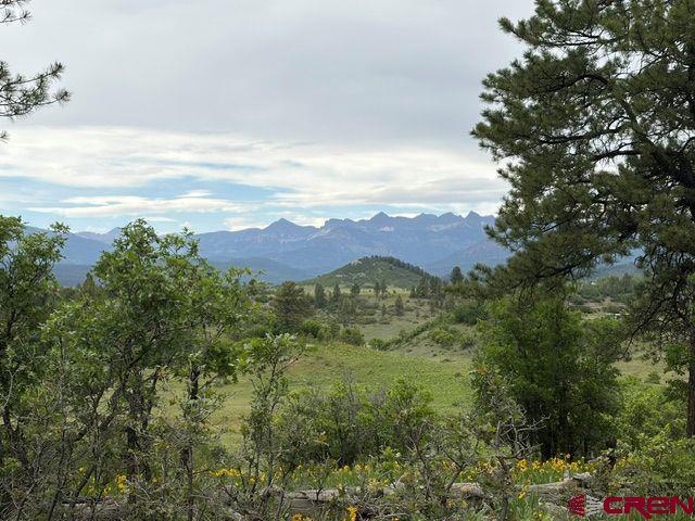 1073 Jacobson Circle Pagosa Springs CO 81147