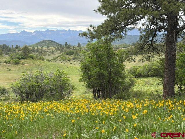 1073 Jacobson Circle Pagosa Springs CO 81147