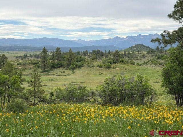 1073 Jacobson Circle Pagosa Springs CO 81147