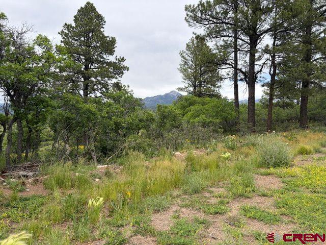 1073 Jacobson Circle Pagosa Springs CO 81147