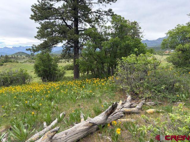 1073 Jacobson Circle Pagosa Springs CO 81147