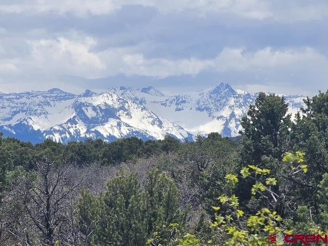 Tbd(tract 9) Government Springs Montrose CO 81403